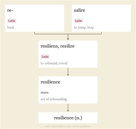 resilience 뜻 -